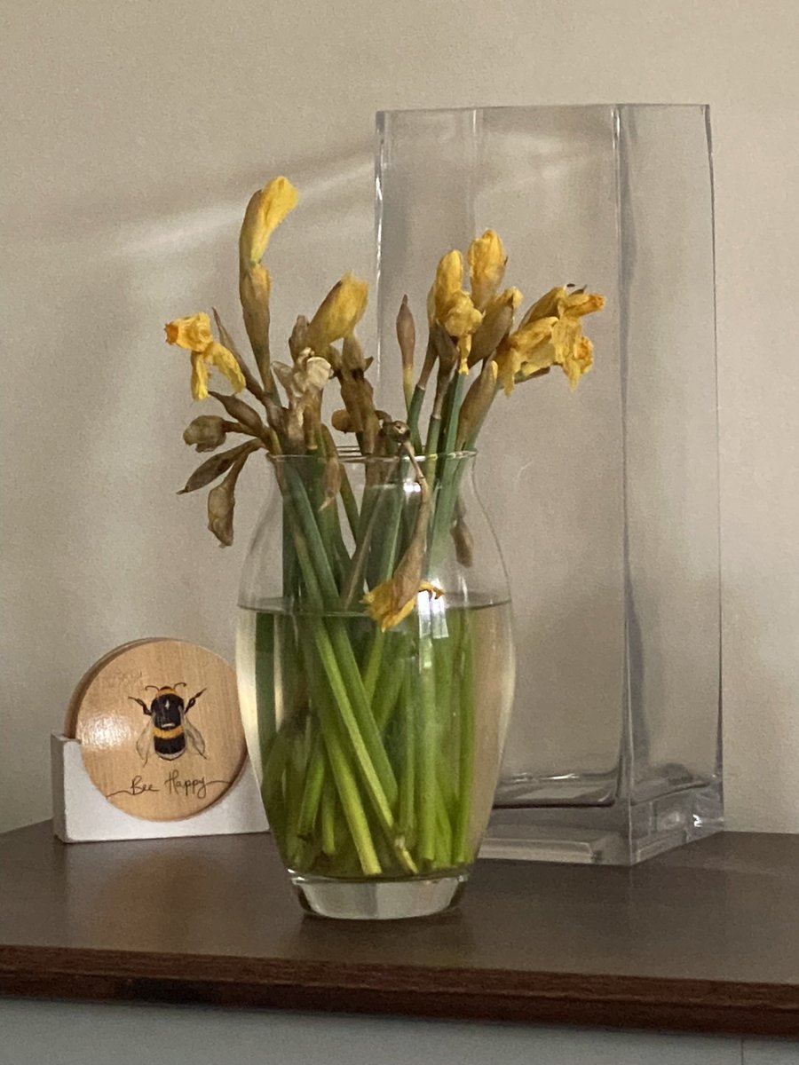 thejonboyce's tweet photo. @Tesco your flowers are terrible dead after 2 days and didn’t even bloom! https://t.co/Yx9rsfoxkz