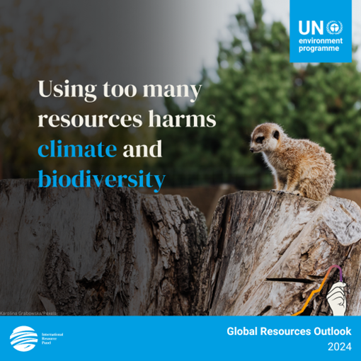 UNBiodiversity's tweet photo. The rising impact of material threatens our fight against climate change and biodiversity loss.
Let's take bold steps to establish sustainable resource strategies against the triple planetary crisis. 🌍🌱
@UNEP https://t.co/w62R7v7wZC