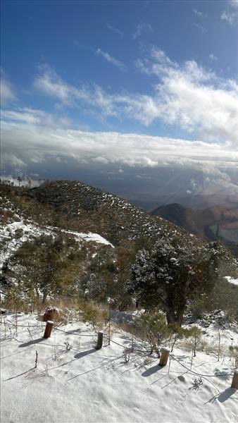 TheLynetteZang's tweet photo. Captivated by the grace of spring snow at the #bugout home. Nature's whims paint a mesmerizing landscape, where the delicate dance of flakes brings renewal and wonder. #SpringSnow #BugOutHome #NaturesSplendor https://t.co/nwCMxmoH0A