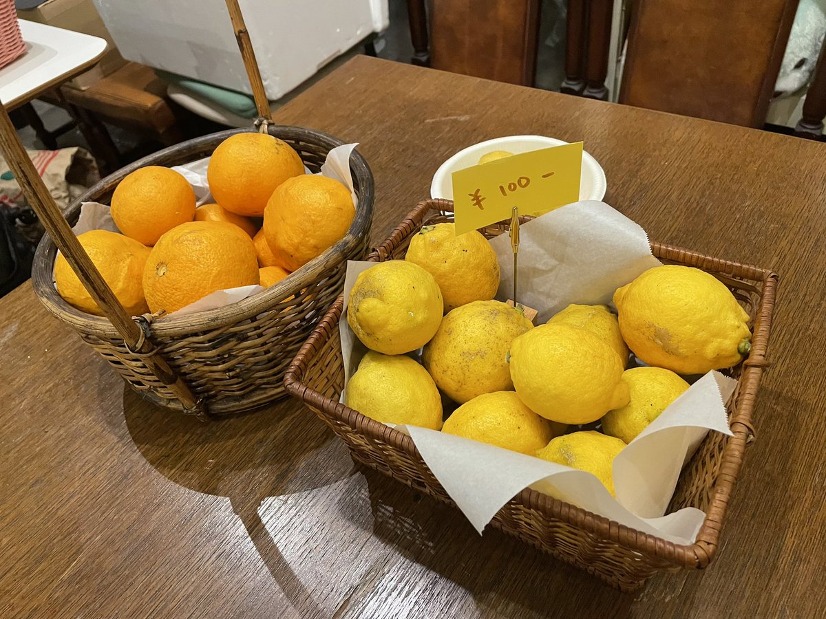 レモンとハッサク売ってるので買ってね、というか、文字通り腐るほどあるので、買ってください😅