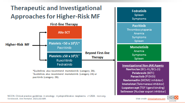 Therapeutic and Investigational  Approaches for Higher-Risk MF #MPNSM
