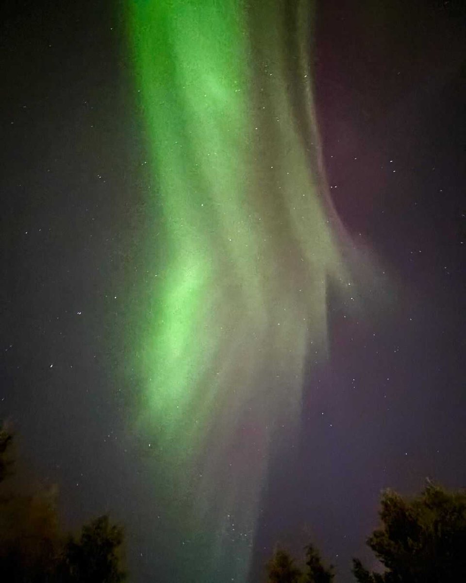 JennyPotae's tweet photo. Kohta on kevät, taivaan pitäisi olla selkeä. Yöllä oli Aurora Borealis.Yhtäkkiä illalla satoi lunta, kunnes oireet muuttuivat koko päivän.
#Visitlevi
#Lappi
#Levi
#Sää https://t.co/tiMNaAF1cx