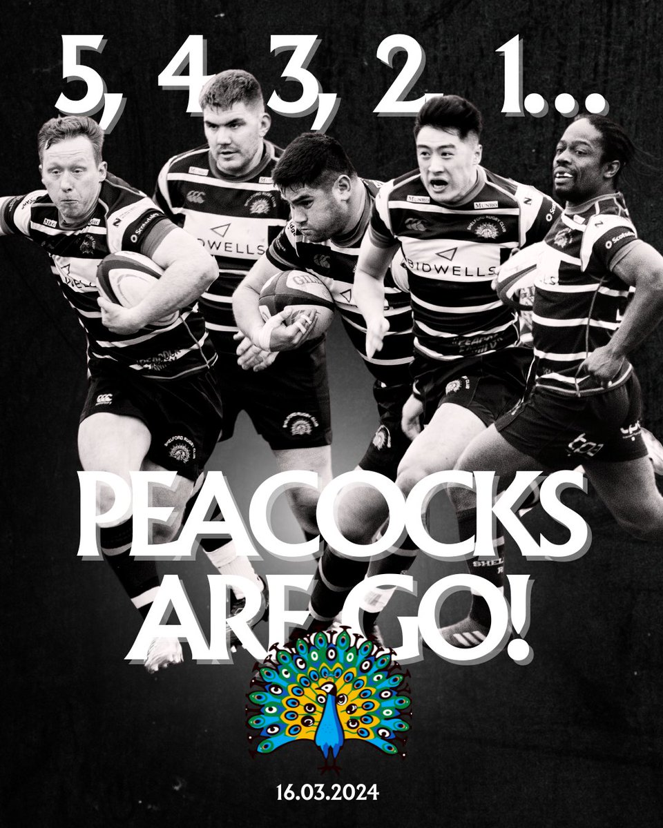 ShelfordRugby's tweet photo. SATURDAY MATCH DAY⏰!!

Here's how our senior teams are lining up today!
🦚 Men’s 1st XV vs @westcliffrugby – KO 3pm (H)
🦚 Men’s Nomads XV vs @wymondhamrugby – KO 12pm (A)
🦚 Men’s 3rd XV vs @fakenhamRFC – KO 2.30pm (H)

#saturdayisarugbyday #PeacocksAreGo #peacockfamily https://t.co/AuldRVnTyR