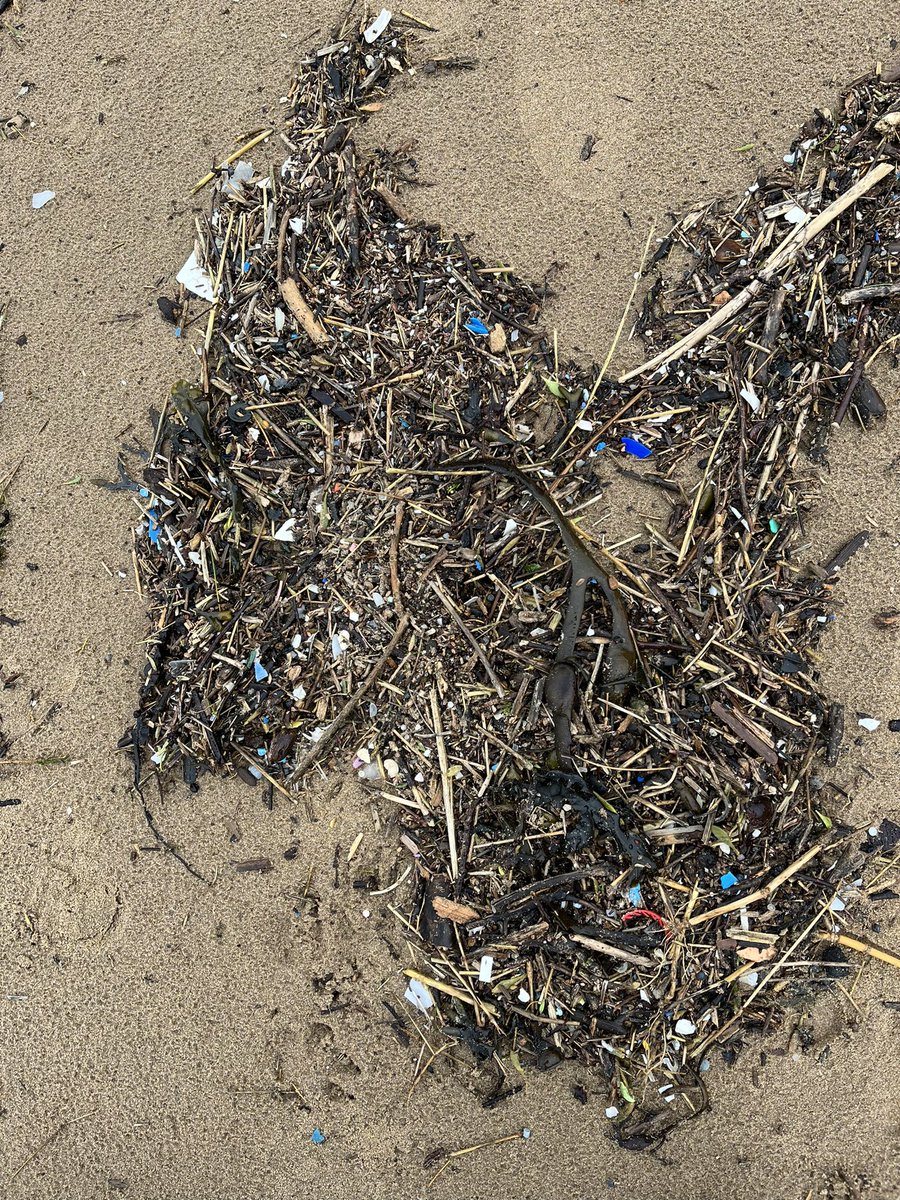 Today, I picked up over 1,000 pieces of plastic from one beach. Unfortunately, looking at it when I left, you wouldn’t know I had been there! If you zoom in on the photos, you will see the problem and the damage humans are doing to our oceans. #GBSpringClean @sascampaigns @mcsuk