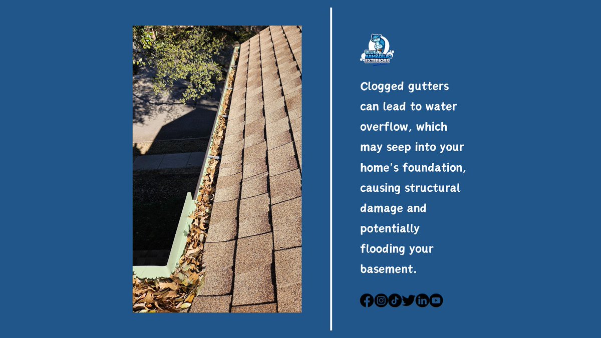BLueArmadilloEx's tweet photo. Plano, TX, How Are Your Gutters? π€Let Blue Armadillo Exteriors check it out now!
Free gutter cleaning quote:
π€call or text +1 469-663-9943
#GutterCleaningExperts #gutters #ExteriorCleaning #bluearmadilloexteriors #Plano #texas #HOME #GutterCleaning #ProtectYourHome #clean https://t.co/uppQoaQNey