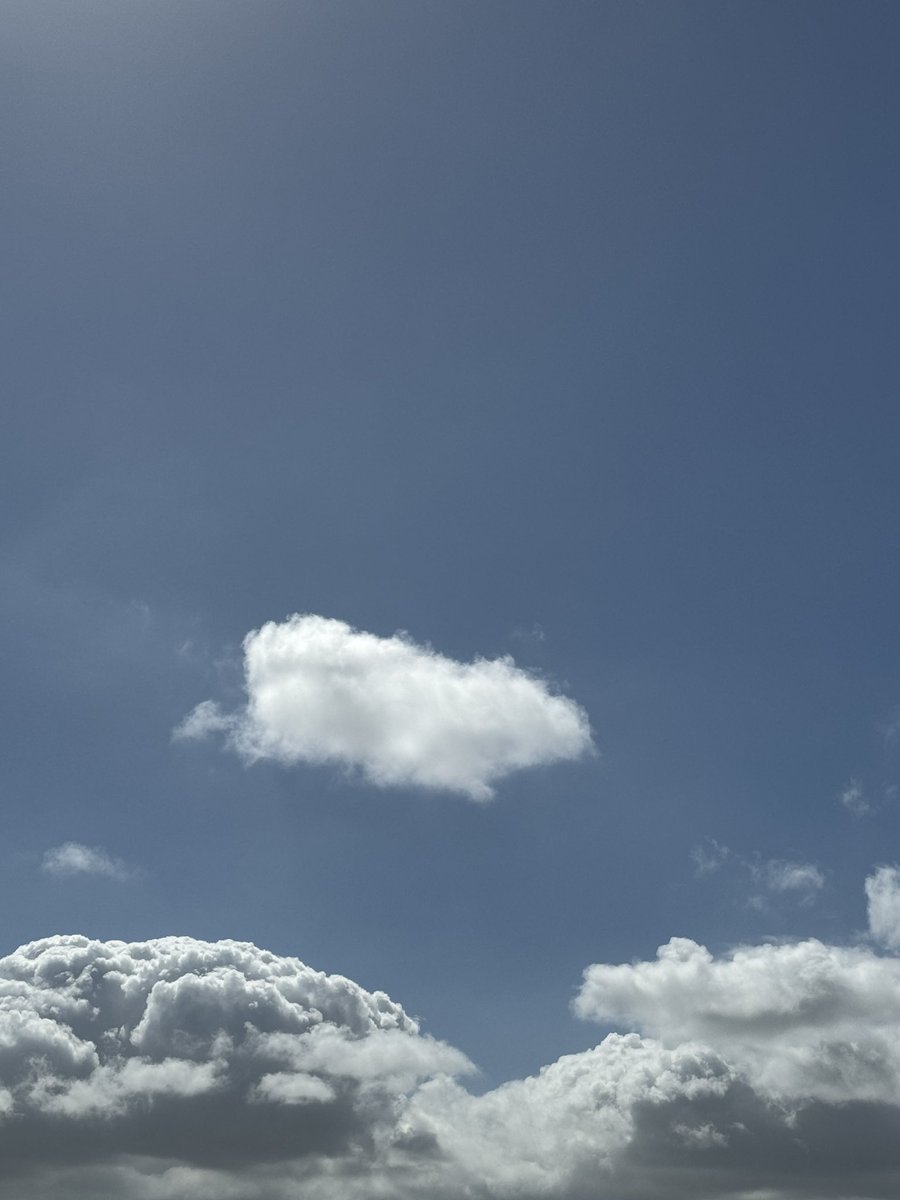 Sacred VVolf tweet media