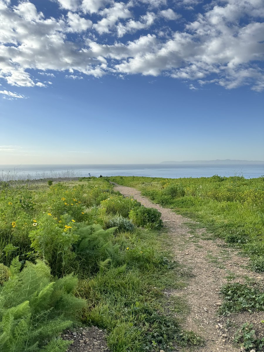 Sacred VVolf tweet media