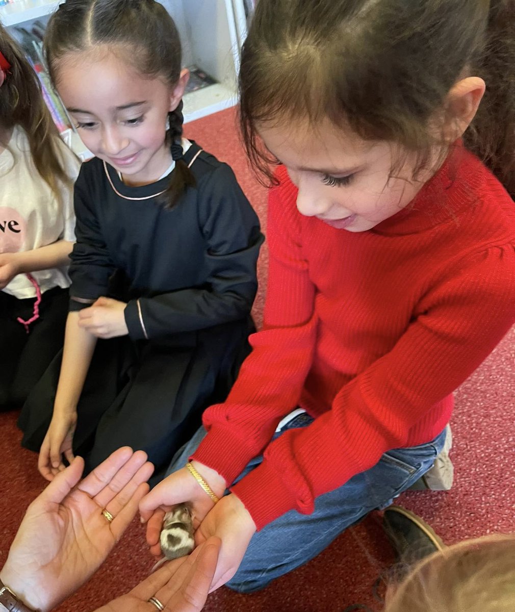 Bronte House School tweet media