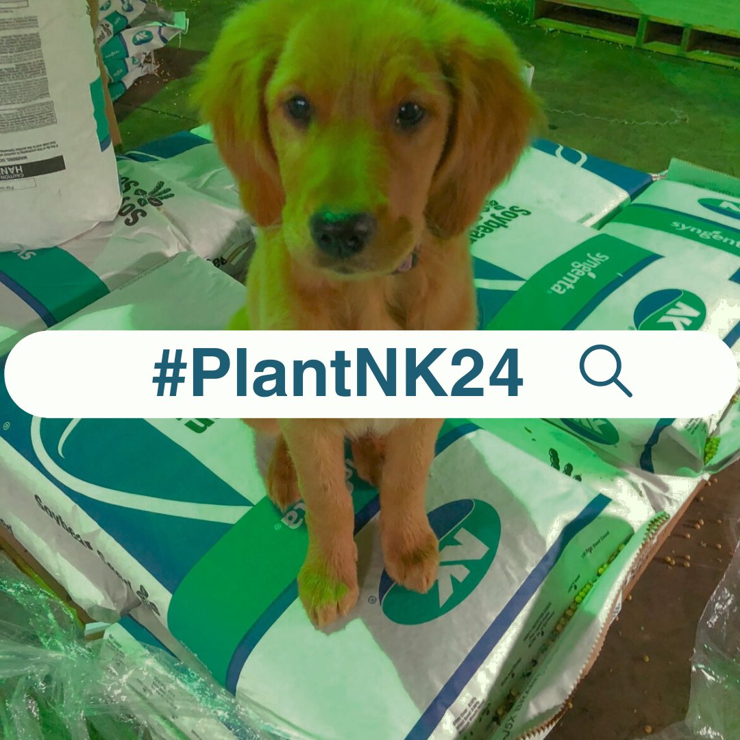 Are you all geared up for the planting season ahead?🚜🌱 Share your journey with us and let's celebrate it together! Don't forget to use #PlantNK24 when you post your planting updates! 🙌🏻