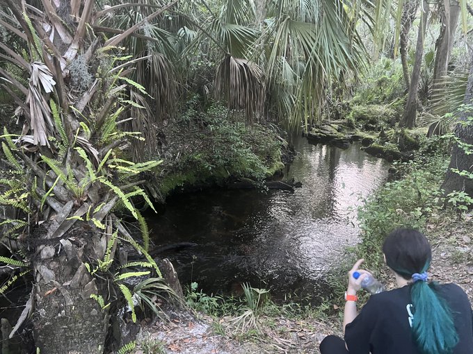 Such a beautiful view and a little fairy in the shot as well :) https://t.co/MgEuEV7GER<a href="/tag/newprofilepic"class="tags"><span>#newprofilepic</span></a>