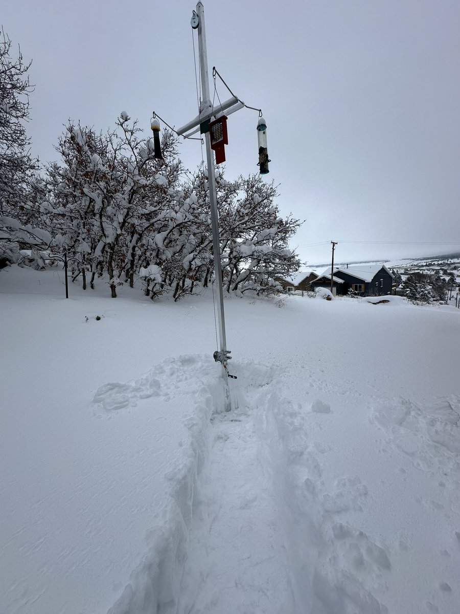 Palmer Lake update! We didn’t get much more #snow in the 2nd band. Measured 27” front and back. Snow burger is 30” with some compression. 10am, 30F, melting quickly where we’ve shoveled. @BrianBledsoe @BianchiWeather @LukeVictorWx @heydebigale #cowx