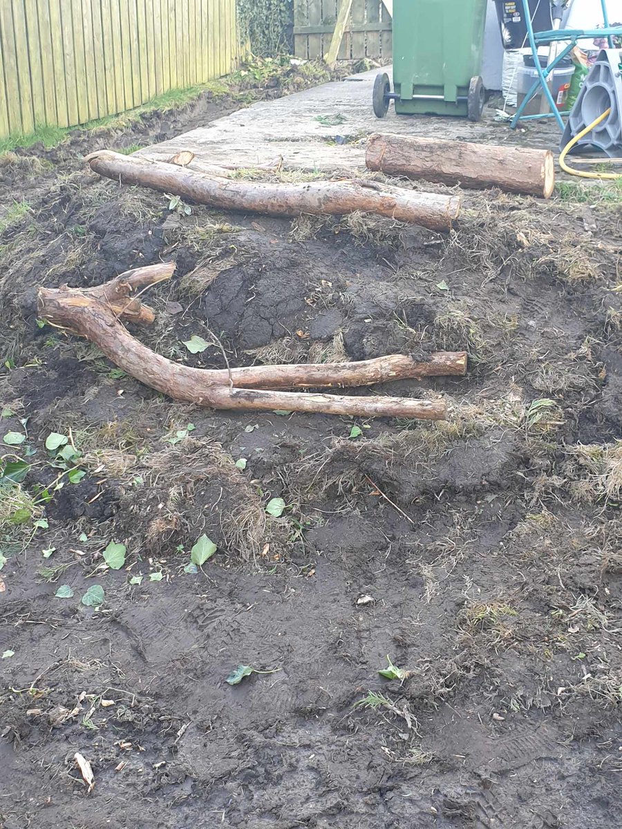 TheresaRyder_'s tweet photo. 'Herb Hill' progress, day one, before/after one hour. Made from a mound of dug out grass. Should start to fill in quickly, more to plant 🌱life under logs 🐛🐌🐞🦋#nomow #spring #growyourown #dirtyfingernails #gardening #biodiversity #earthaware https://t.co/KTu7qVwT2K