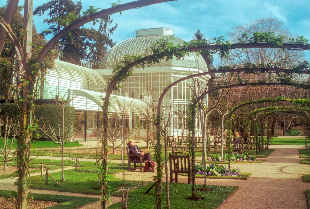 Maxime Visticot tweet media