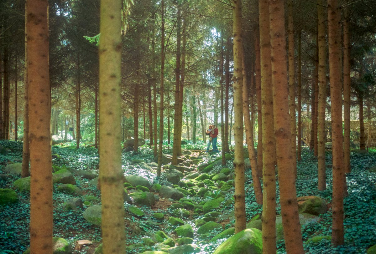 Maxime Visticot tweet media