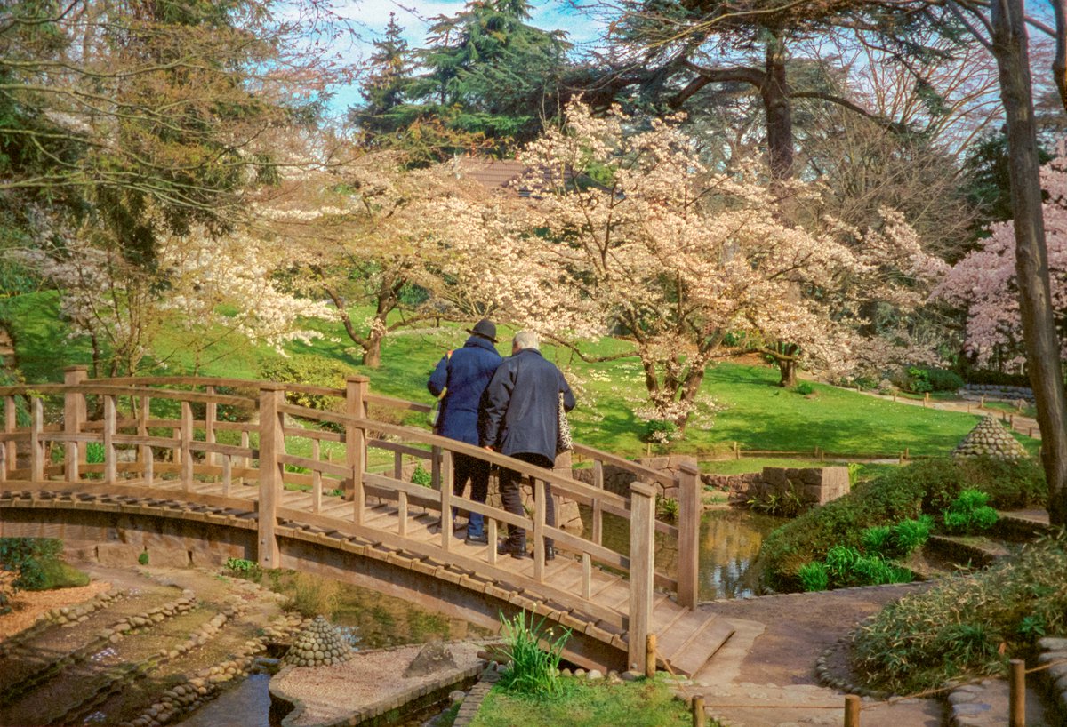 Maxime Visticot tweet media