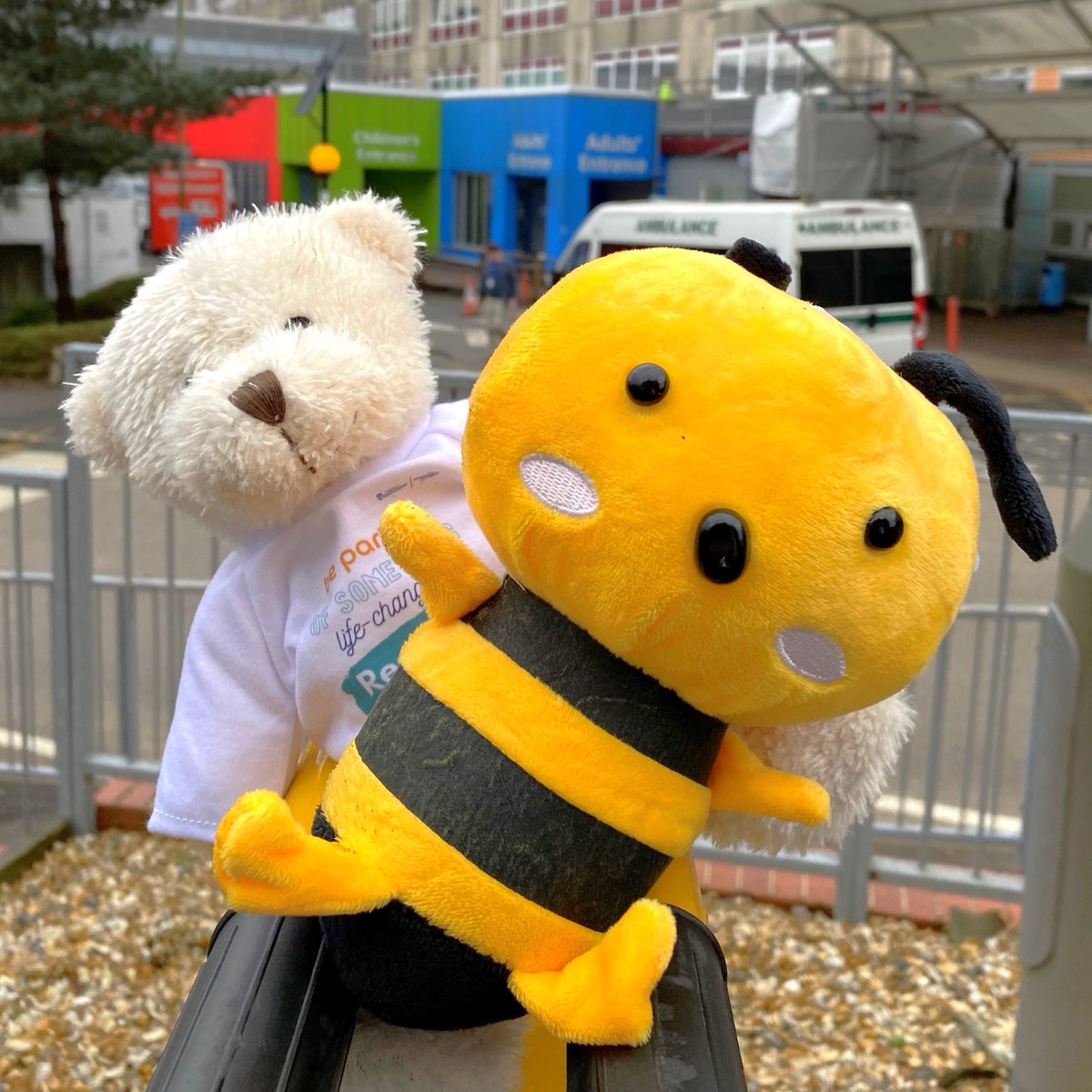 These ‘bear-st’ friends are ready for a hive of activity at #Southampton Science and Engineering Day! 🐝🧸 Join us to explore our health research world through activities for all ages. 🔔 Tomorrow 📍 Level 4, Building 100, Highfield Campus #SOTSEF @UoS_Engagement