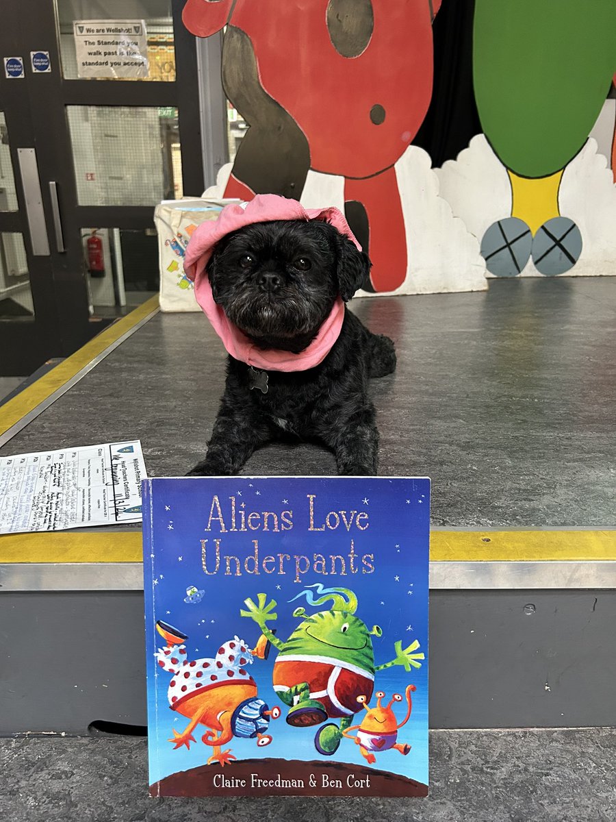 Mrs Beach, Charlie 🐵 & Pickles 🦜 were sharing a story at the P1-3 assembly today 👽 🩲 Turns out Hamish is a fan too! 🐶 @literacyfor_ALL #wellbeing #pet @underpantslive @clairefreedman @BenIllustrator