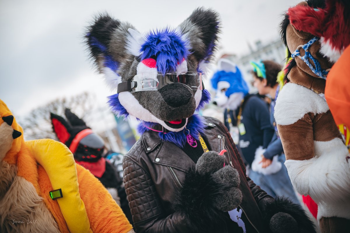 Well... this year's #gdakon was something else...

Thank you to all of the amazing peeps I've been able to meet there! :D
#gdakon2024 #gdakon24 #FursuitFriday 
📸<a href="/sw__wolf/">sw__wolf</a>