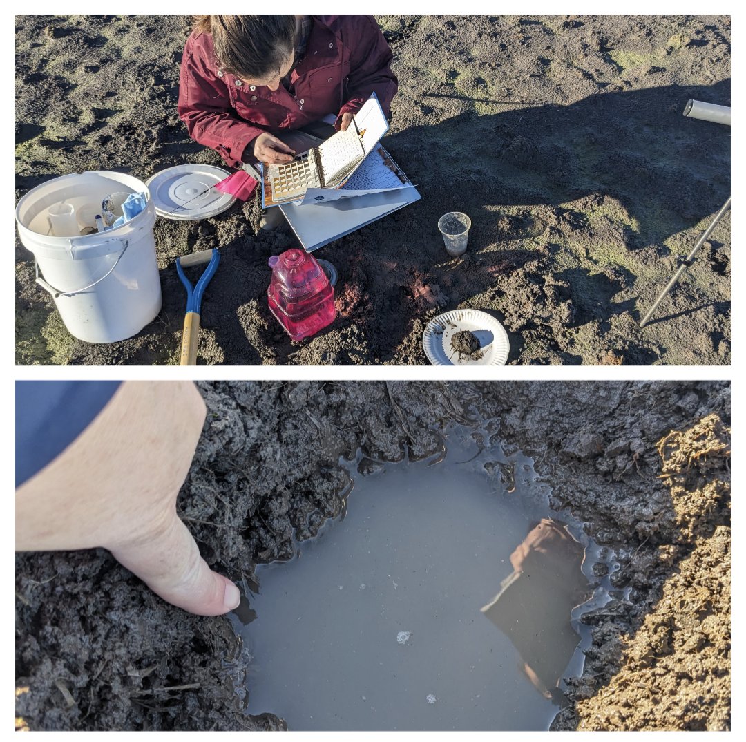 Tracy Schohr (@beefnsushi) on Twitter photo Field work Friday with <a href="/USDA_NRCS/">Natural Resources Conservation Service</a> looking at soil health ๐ฌ... Way too wet for the ๐ tractors to start prepping the field for ๐พ rice planting! And more ๐ง๏ธ๐ง๏ธ in the forecast. <a href="/NOAADrought/">NIDIS Drought.gov</a> <a href="/DroughtCenter/">Drought Center</a> Field work Friday with <a href="/USDA_NRCS/">Natural Resources Conservation Service</a> looking at soil health ๐ฌ... Way too wet for the ๐ tractors to start prepping the field for ๐พ rice planting! And more ๐ง๏ธ๐ง๏ธ in the forecast. <a href="/NOAADrought/">NIDIS Drought.gov</a> <a href="/DroughtCenter/">Drought Center</a>