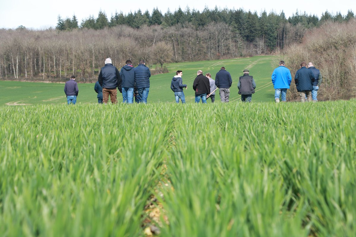 Barbie_Agro's tweet photo. Le #GrandOuest en reconquête de la fertilité des sols grâce à 2 plates-formes d'essais en bandes agri.  Les moyens : ajustement de doses, applications supplémentaires et autre solutions. Les 1ères observations ont été partagées aux #Agriculteurs lors de 2 matinées. #Fertilisation https://t.co/xPPdq1lDoc