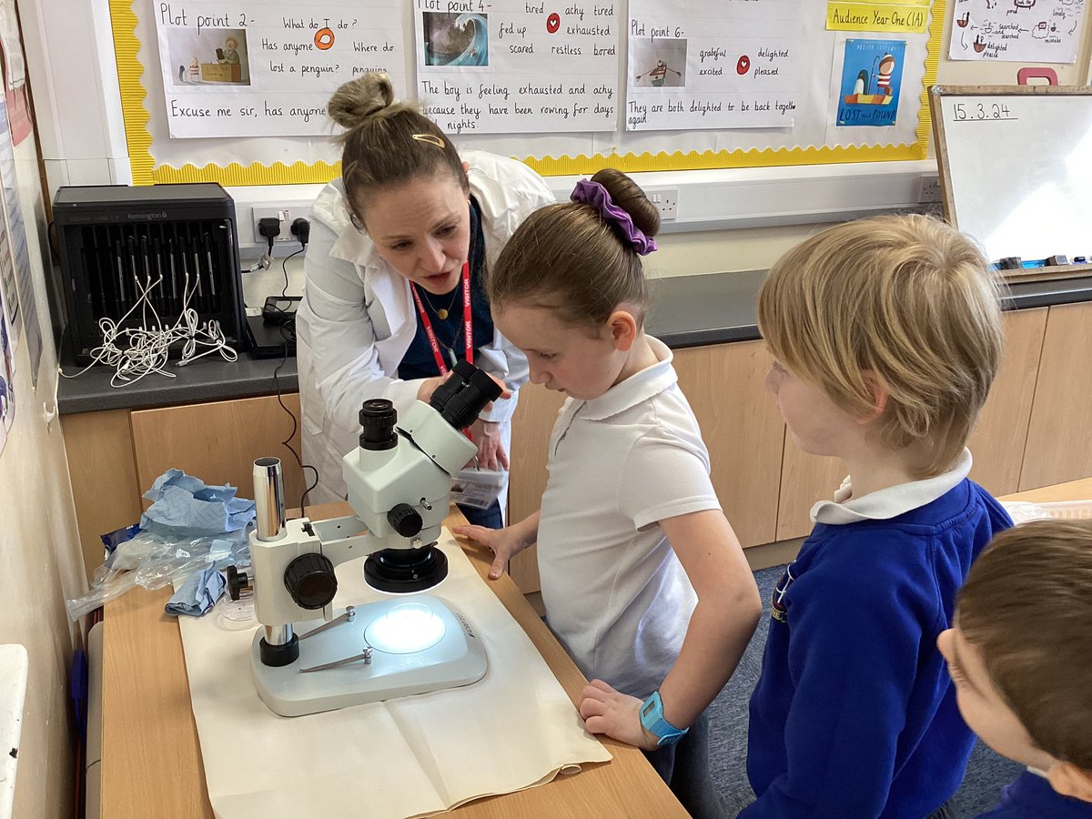 Thank you to a Year One parent who kindly came into school to share her job with us this afternoon for science week. The children loved learning about biology and getting to look at onion cells. 🧬 🧫