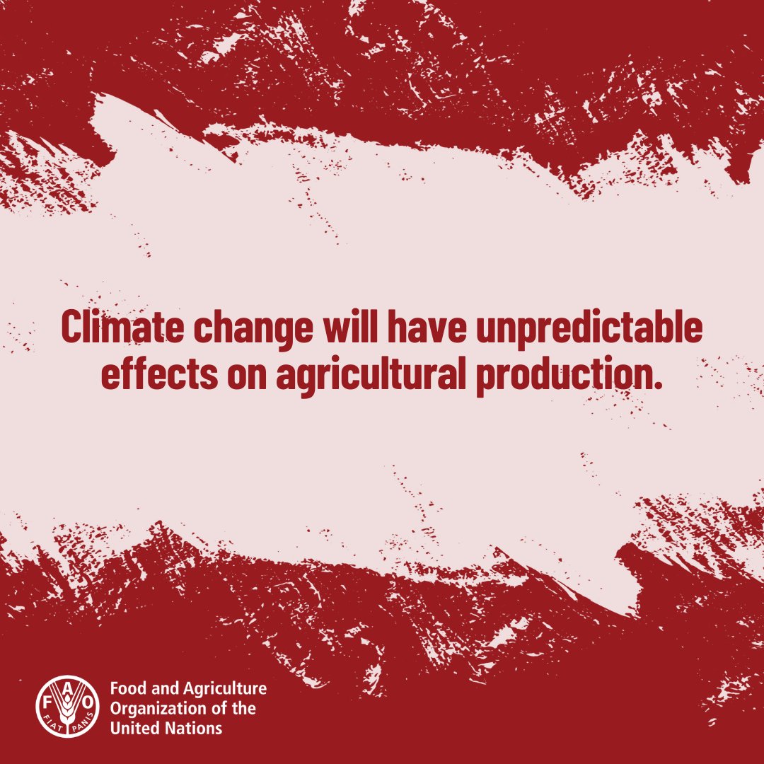 #ClimateChange is affecting our agrifood systems and is likely to make food production even more unpredictable.

We must invest in #DisasterRiskReduction and #AnticipatoryAction to protect our food security.

bit.ly/46GSj7u

#WorldMetDay #ClimateAction