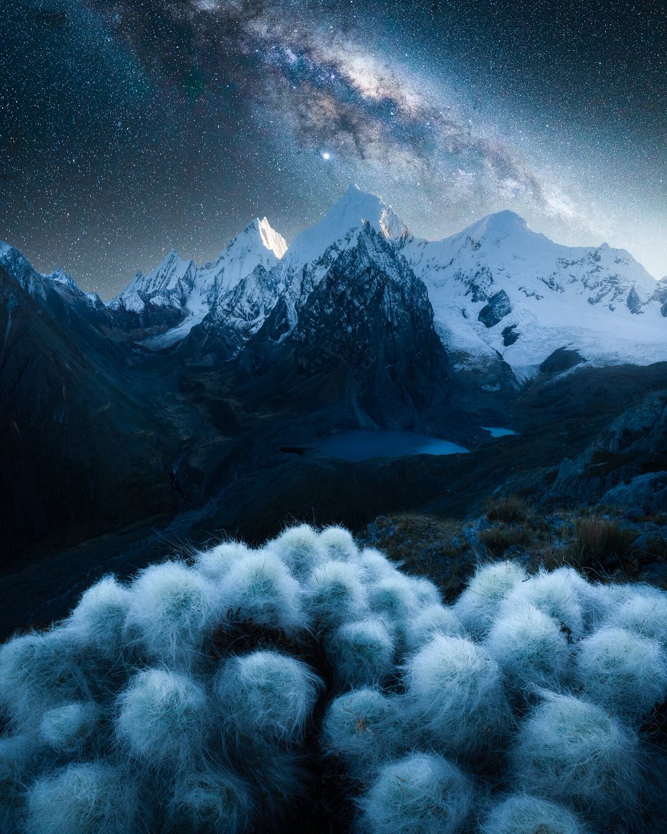 Some blue art to calm down your stressed out euphoric meme coin nerves 💙