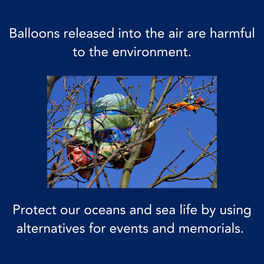 We're appealing to people to use alternatives to balloon and lantern releases for events and memorials - which can have a devastating impact on wildlife and the environment.