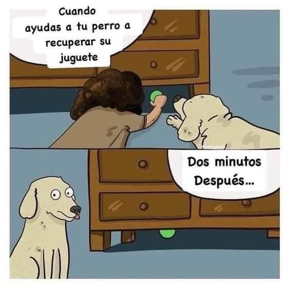 :3