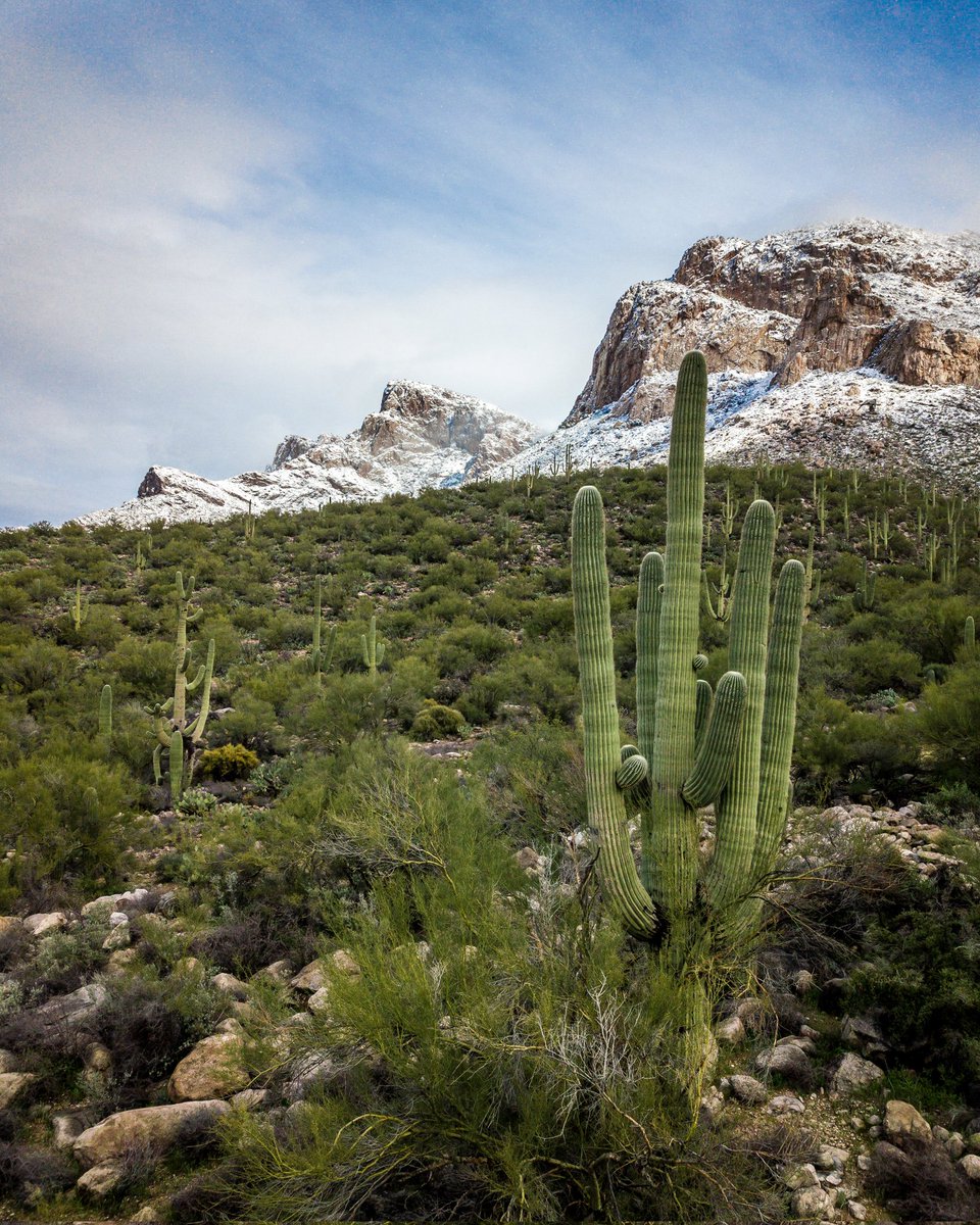 TheArizonaDrone's tweet photo. Snow Capped Catalinas #tucson #Arizona #drone https://t.co/LPQY9P2JYF