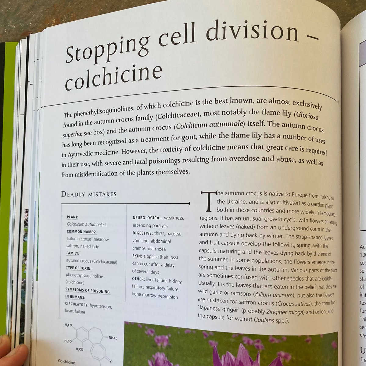 annethegnome's tweet photo. Partner: whatcha reading?
Me: a book about plants
Partner: about cool, normal plants?
Me: 😍😍😍🥰 https://t.co/joA3tK5EKZ