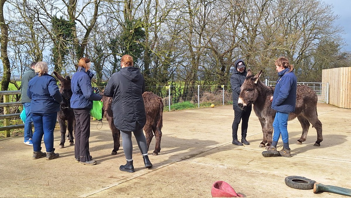 melissa frame tweet media