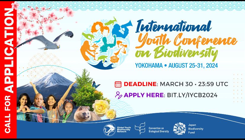 🌿🎉Exciting news! The call for applications for young people to participate in the International Youth Conference on Biodiversity (IYCB) is now open! Apply now: bit.ly/YouthCB2024 #IYCB2024 #YouthIntoAction #YouthEngagement #WhatcanYOUthdo #FromAgreementToYouthActions