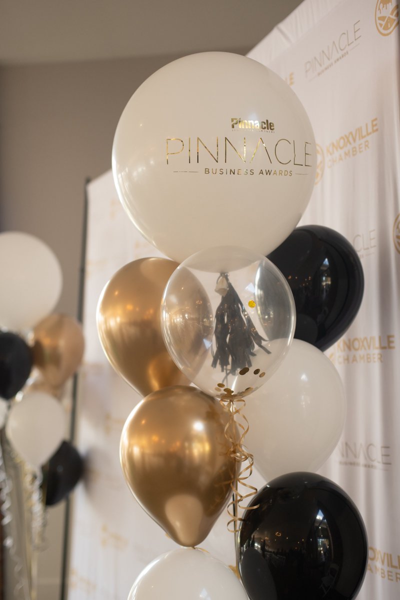 knoxchamber's tweet photo. Complete photo gallery from the 2024 Pinnacle Business Awards, presented by Pinnacle Financial Partners, is now available on our Facebook page. Congratulations again to all of this year’s winners! https://t.co/15R7uWOTTi