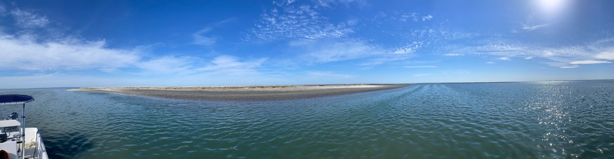 Have you ever been somewhere that might not exist in a few years? This is the north end of Cobb Island, which is rapidly changing. Zoom in for some bonus trimble surveying for scale @LaurenBrideau1 @uvaevsc @vcrlter #barrierisland #easternshore #coastalchange