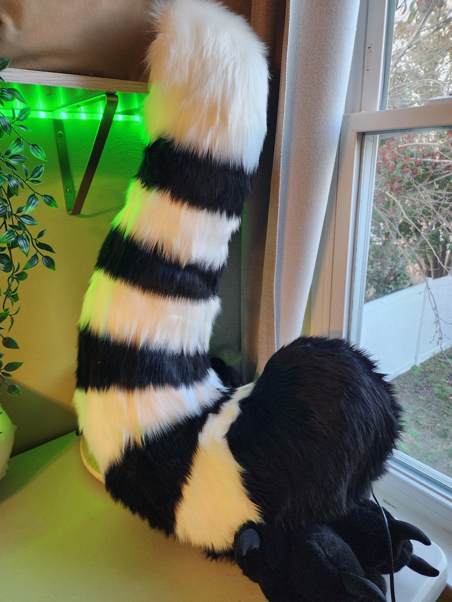 TBarkCreations's tweet image. Look at this cutie!
Moving onto lining and furring now. 
Tail was completed as well, with a lovely squeaker inside!

#fursuit #fursuitmaker #furry
