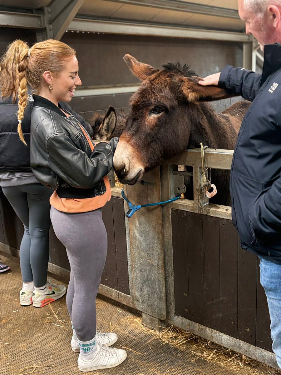 melissa frame tweet media