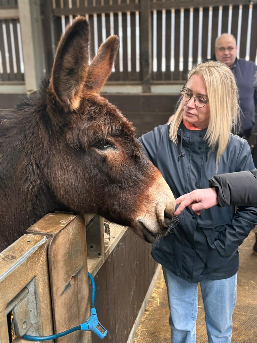 melissa frame tweet media