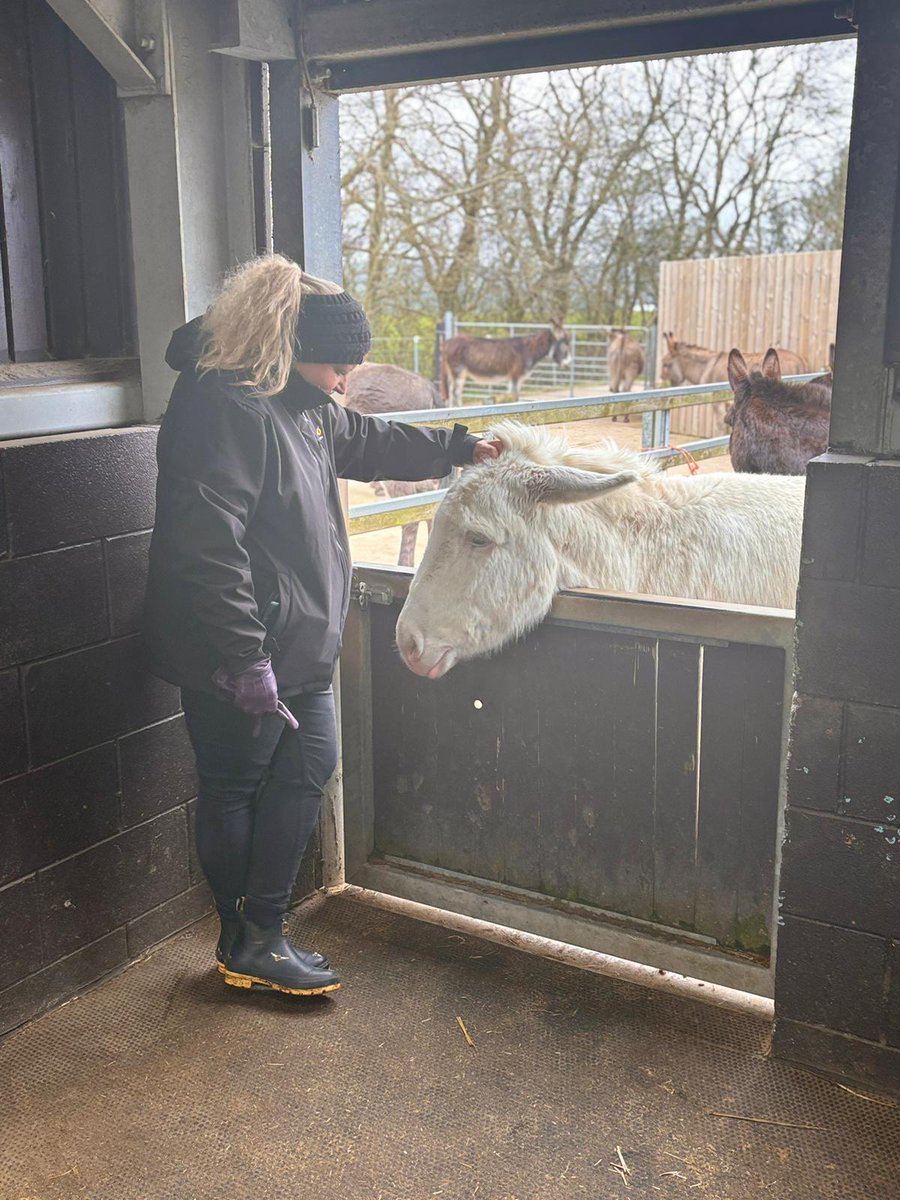 melissa frame tweet media