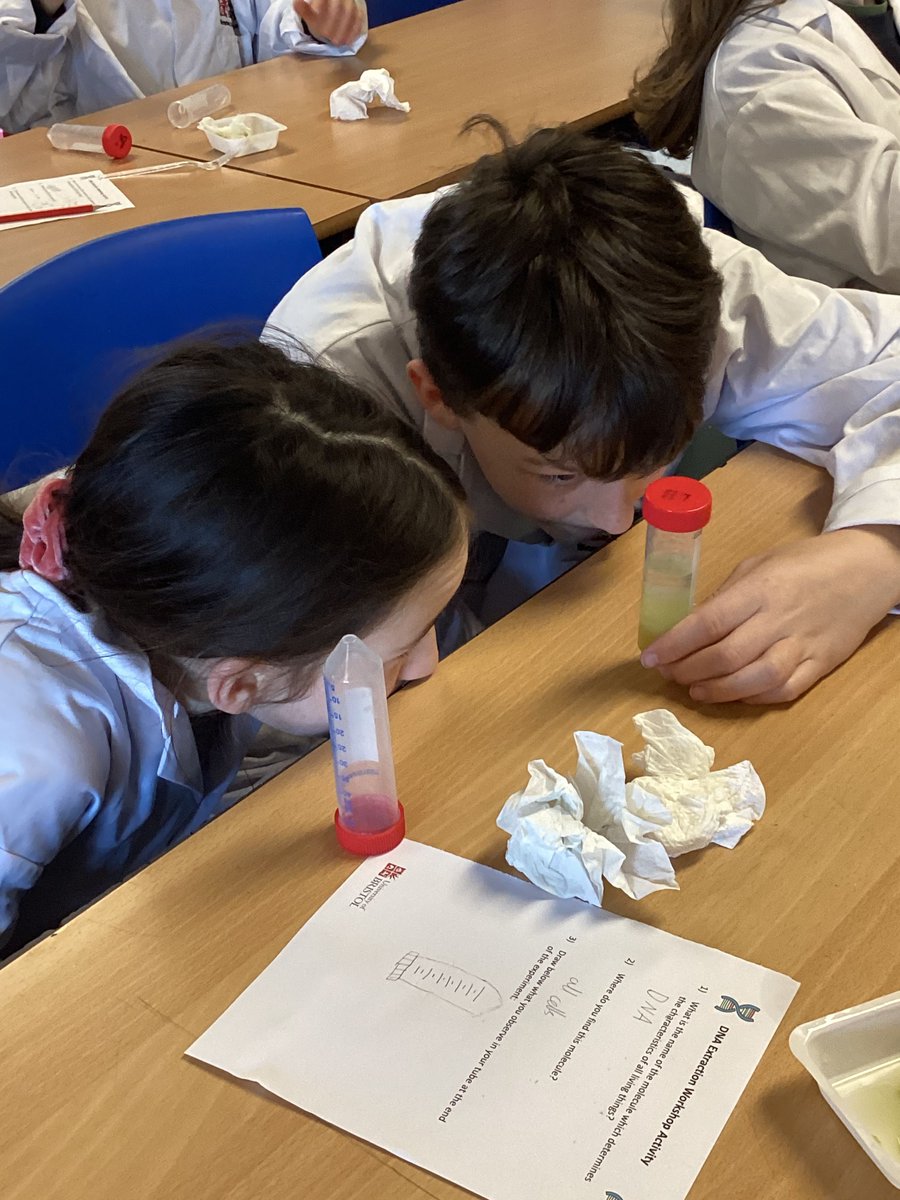 Today, #Northleaze6 were lucky enough to experience a DNA extraction workshop that used kiwis! Such fun and a great learning experience for them all. A big thank you to Mrs Born for sharing her knowledge with the children. #science #learningisfun #kiwiDNA