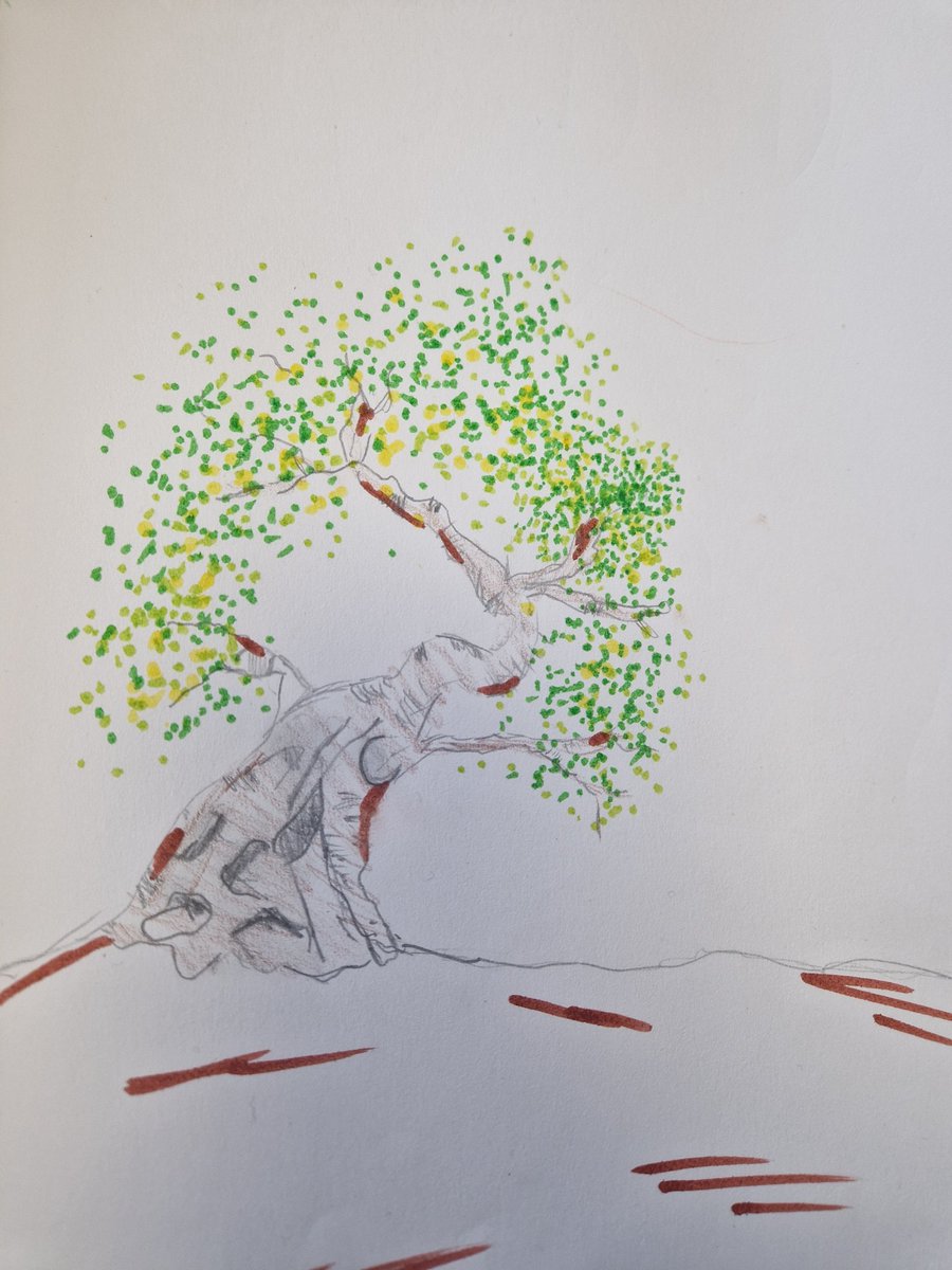 MissHuntBPCA's tweet photo. We extended our Ancient Greece learning enquiry today by looking at the significance of the olive tree. We made sketches today on preparation for sculpture making @BerrowPrimary  @MMontgomBerrow https://t.co/ZypUSKIkc9