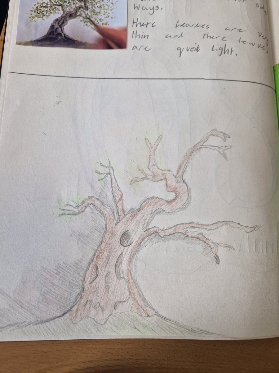 MissHuntBPCA's tweet photo. We extended our Ancient Greece learning enquiry today by looking at the significance of the olive tree. We made sketches today on preparation for sculpture making @BerrowPrimary  @MMontgomBerrow https://t.co/ZypUSKIkc9