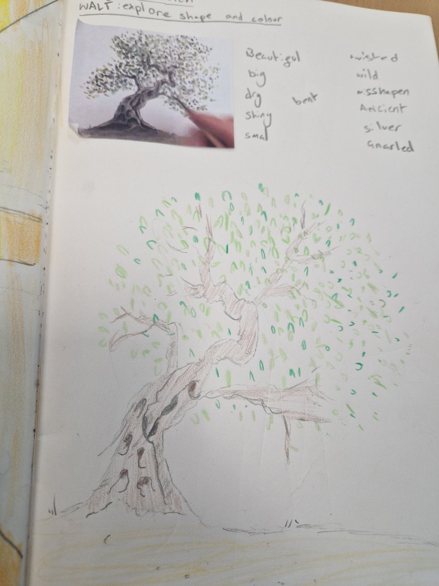 MissHuntBPCA's tweet photo. We extended our Ancient Greece learning enquiry today by looking at the significance of the olive tree. We made sketches today on preparation for sculpture making @BerrowPrimary  @MMontgomBerrow https://t.co/ZypUSKIkc9