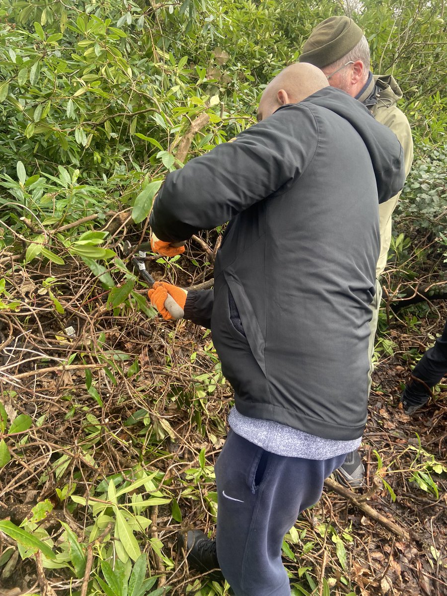 🍃🧹Our Bury Nature & Wellbeing group have started a spring clean today of our wellbeing area at Philips Park. They cut back invasive Rhododendron, cleared lots of litter that was lying underneath and weeded the area 🌿@greatermcr #conservation #springcleaning #wellbeing #nature
