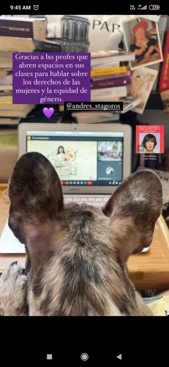 A. Rodríguez 🌵 (@tierrartes) on Twitter photo 