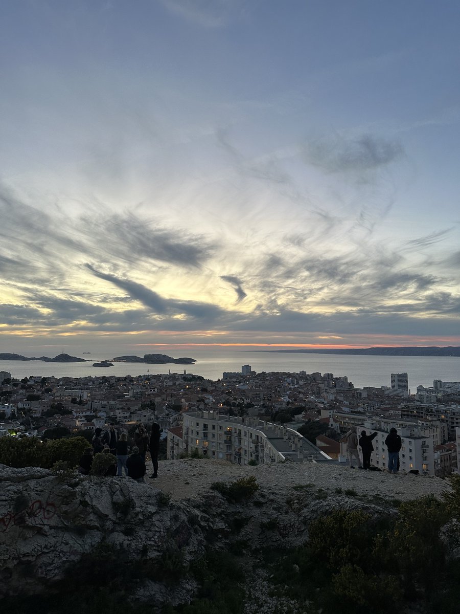 Dr. Oğuz E tweet media