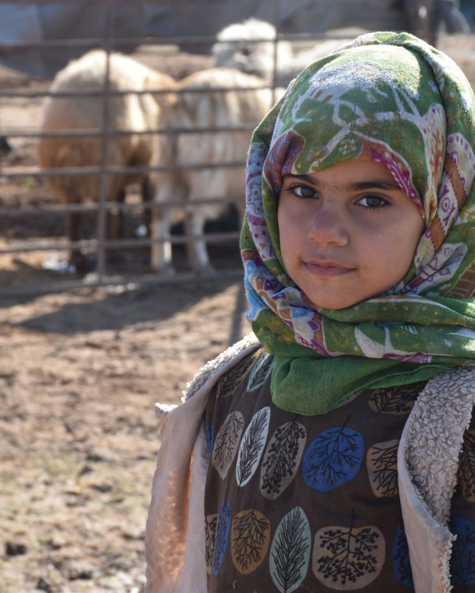 helpfromgermany's tweet photo. #13JahreSyrienkrieg haben unermessliches Leid gebracht: Millionen leiden unter Zerstörung, Hunger und Vertreibung. Seit 2012 ist Help in #Syrien aktiv und setzt sich für medizinische Versorgung, Nothilfe &amp; nachhaltige Landwirtschaft ein. Mehr Infos: https://t.co/wN81Mpe4De https://t.co/ZwAoCcfQXE