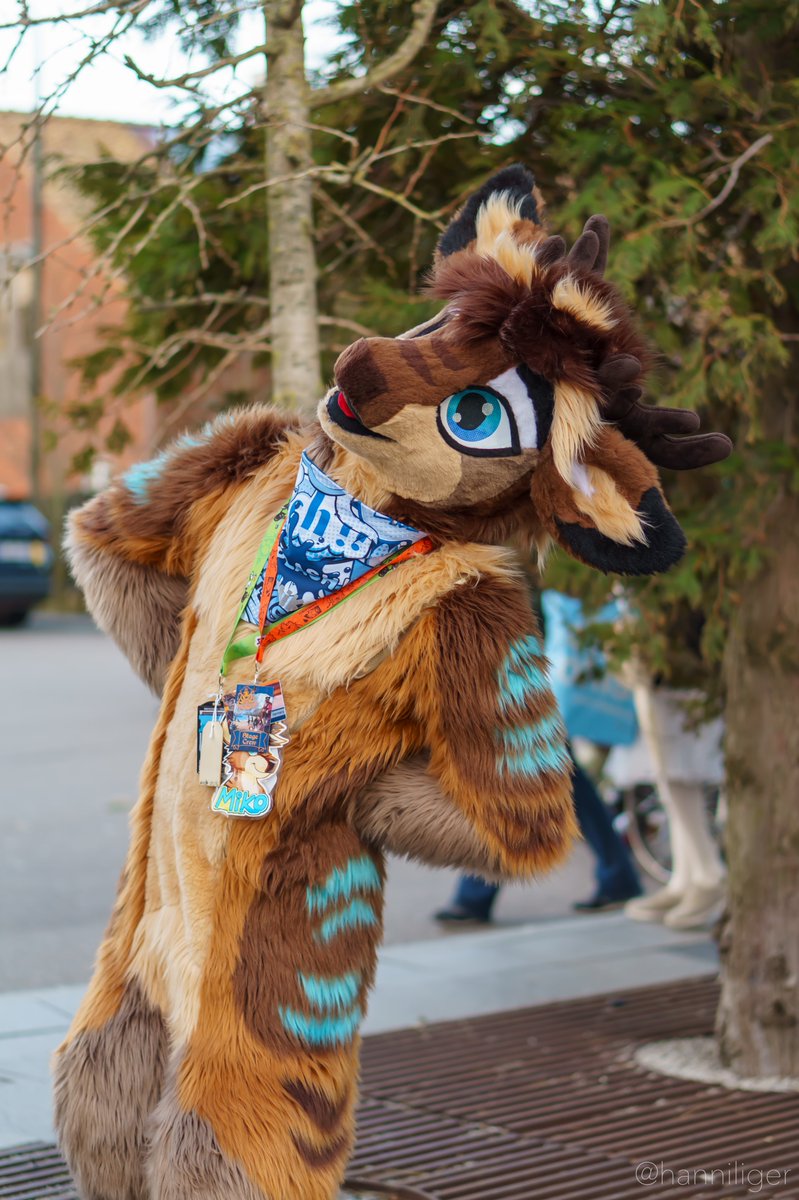 What are you looking for?
#FursuitFriday #fursuit #deer #fursuiter 
📷 HannitheLiger