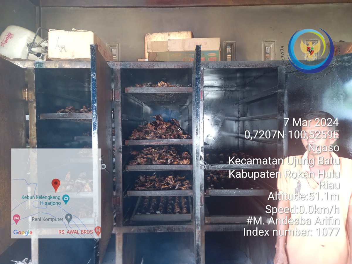 AndesThp06's tweet photo. Kamis (07/3) M. Andesba Arifin, Luhkan Rokan Hulu, melaporkan produksi ikan Salai lele Poklahsar Tunas Usaha Gemilang, Ds Sukadamai bln Maret 2024 sebesar 90 kg, harga jual 75000/kg #GiatLuhkanSatminkalMedan #Rohul #Produksi @bpppmedan_brsdm,@puslatluhkp,@kkpgoid,@bppsdm_kp https://t.co/1lQrXvqmPl