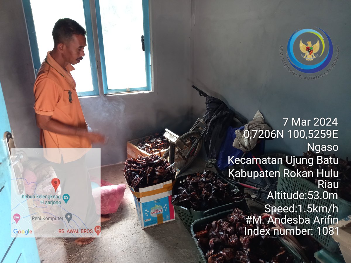 AndesThp06's tweet photo. Kamis (07/3) M. Andesba Arifin, Luhkan Rokan Hulu, melaporkan produksi ikan Salai lele Poklahsar Tunas Usaha Gemilang, Ds Sukadamai bln Maret 2024 sebesar 90 kg, harga jual 75000/kg #GiatLuhkanSatminkalMedan #Rohul #Produksi @bpppmedan_brsdm,@puslatluhkp,@kkpgoid,@bppsdm_kp https://t.co/1lQrXvqmPl